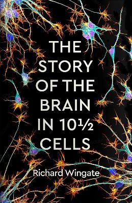 The Story of the Brain in 101/2 Cells