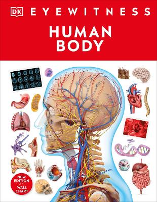 Human Body (Hardcover)