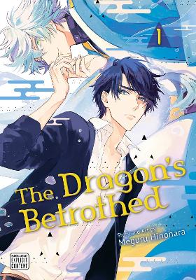 The Dragon's Betrothed, Vol. 1 (Paperback)