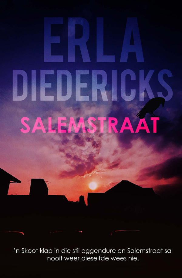 Salemstraat (Paperback)
