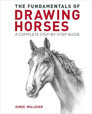 The Fundamentals of Drawing Horses: A Complete Step-by-Step Guide