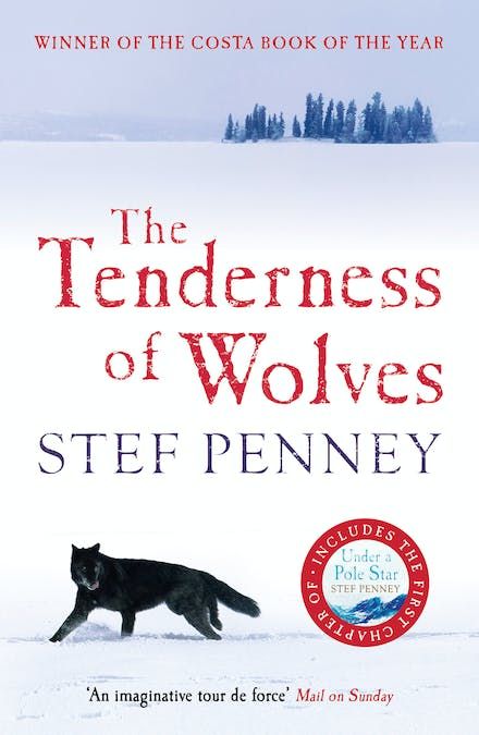 The Tenderness of Wolves (Paperback)