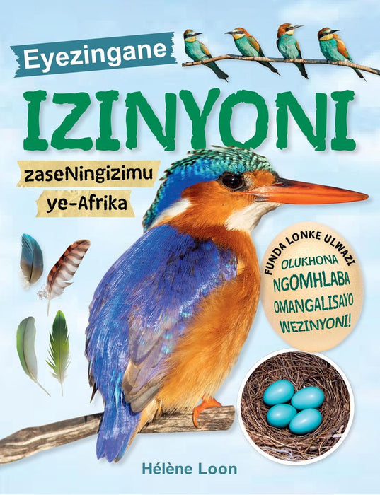 Eyezingane Izinyoni zaseNingizimu ye-Afrika (Paperback)