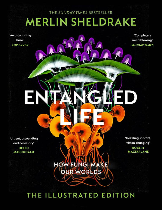 Entangled Life: How Fungi Make Our Worlds, Change Our Minds and Shape Our Futures (The Illustrated Edition) (Hardcover)