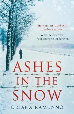 Hugo Fischer 1: Ashes in the Snow (Paperback)