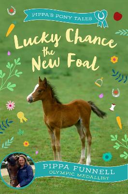Lucky Chance the New Foal (Paperback)