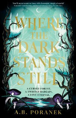 Where the Dark Stands Still (Paperback)