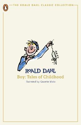 Boy: Tales of Childhood (Paperback)