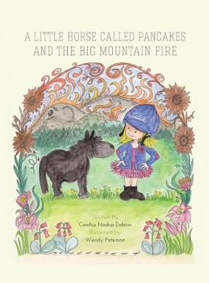 A Little Horse called Pancakes and The Big mountain Fire (Paperback)