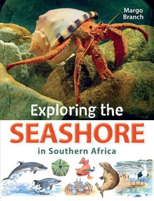 Exploring The Seashore In Southern Africa (Paperback)