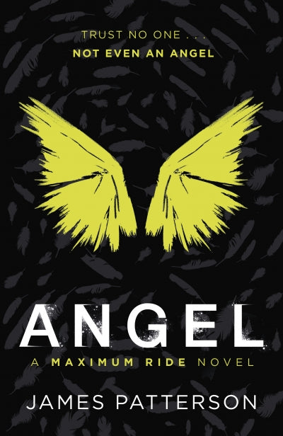 Maximum Ride 7: Angel (Paperback)
