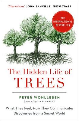 The Hidden Life Of Trees: What They Feel, How They Communicate (Paperback)