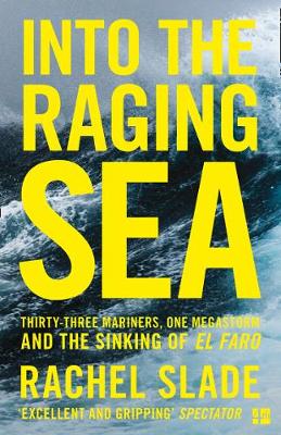 Into the Raging Sea (Paperback)