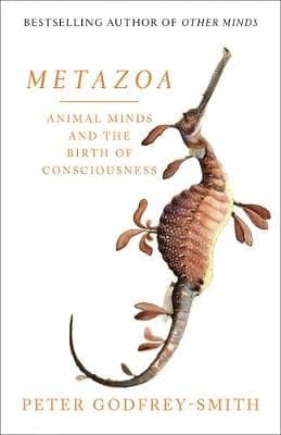 METAZOA TPB