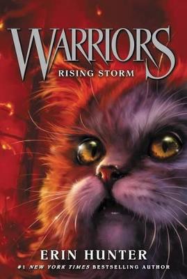 Warriors The Original 4: Rising Storm