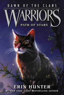Warriors: Dawn Of The Clans 6: Path Of Stars