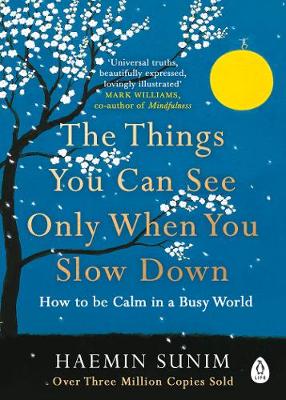 The Things You Can See Only When You Slow Down: How to be Calm in a Busy World (Paperback)