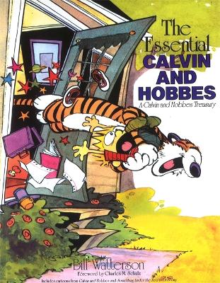 Calvin And Hobbes Series 3: The Essential Calvin And Hobbes