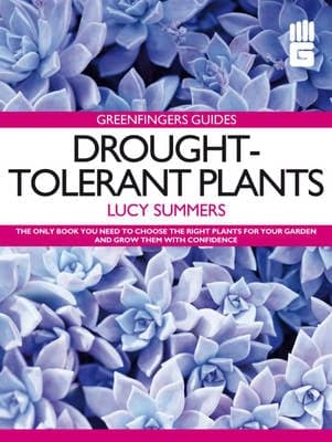 Greenfingers Guides: Drought-tolerant Plants