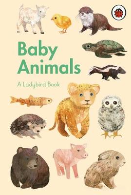 Ladybird Book: Baby Animals HB