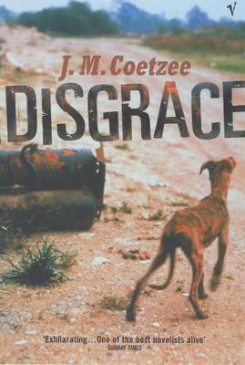 Disgrace (Paperback)