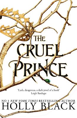 The Folk of the Air 1: The Cruel Prince (Paperback)