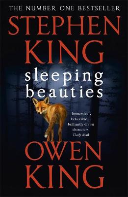 Sleeping Beauties (Paperback)